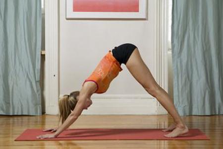 Downward Facing Dog--Stretches spine, hamstrings, glutes, calves; strengthens deltoids, triceps