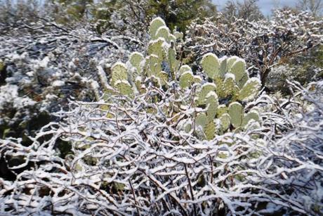 SnowyDesert1