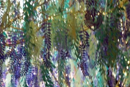Peacock Feathers in Motion - Christmas in the Music Room at Longwood Gardens  © 2014 Patty Hankins
