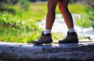 Roots of Reinvention Taking Shape