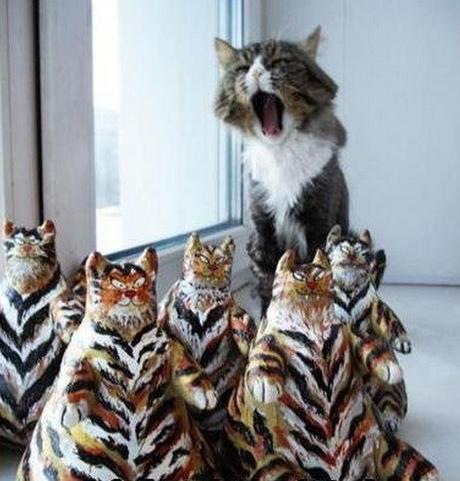 Top 10 Cats and Their Minions