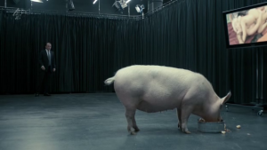 Black Mirror Pig