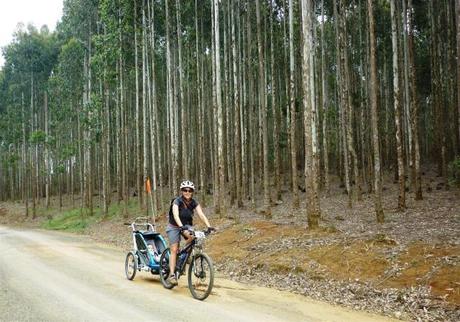 Terrain included well graded road, jeep track and regular road.