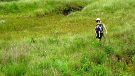 Heading across the grasslands