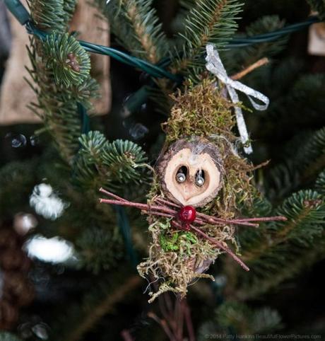 Christmas decoration at the Bird House Tree House - Longwood Gardens © 2014 Patty Hankins