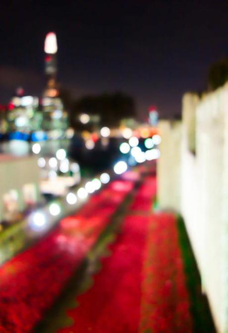 cityscape-tower-poppies