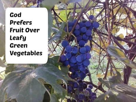 God Prefers Fruit Over Leafy Green Vegetables