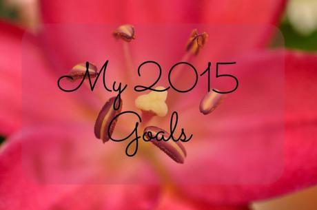 My 2015 Goals