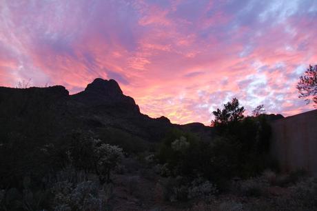 Tying the Knot in Tucson IMG_7024_Layers_v1