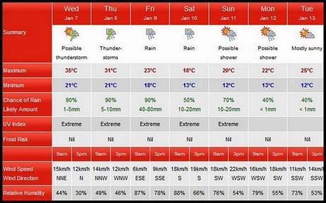 January Week 1...Shadehouse.