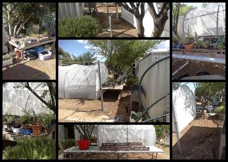 January Week 1...Shadehouse.