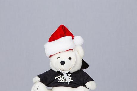 Teddy in santa hat