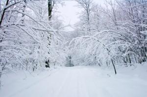Kozzi-snowy_road-884x588.jpg