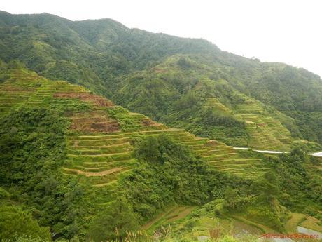 Banaue Rice Terraces: The Eighth Wonder of the World