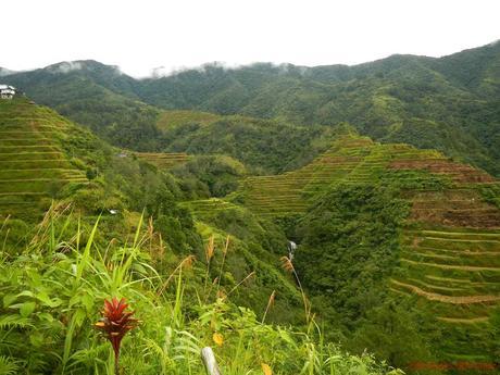 Banaue Rice Terraces: The Eighth Wonder of the World