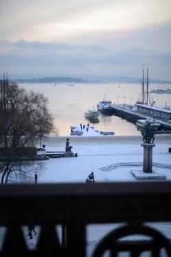 Frosty light in a winter day in Oslo DSC_3479
