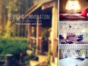 quirky accommodation with Canopy and Stars
