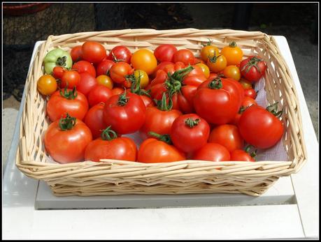 Where have all the Veg Plots gone?