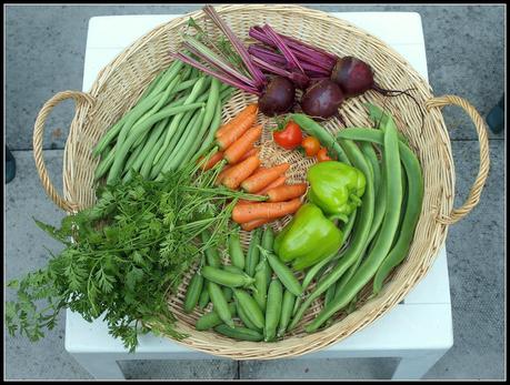 Where have all the Veg Plots gone?