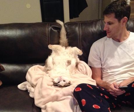 These All New Adorable Photos Of Pets Will Win The Internet.