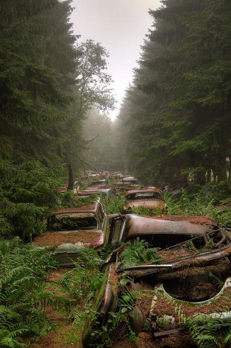 Chatillon car cemetery or a traffic jam of 500 cars since many decades. A story will raise many questions.