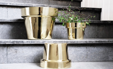 gold flower pots