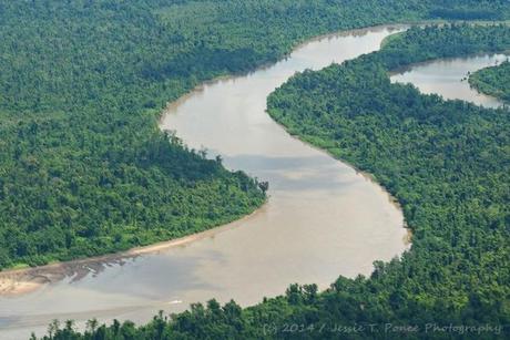 bird's eye view of the Fly River