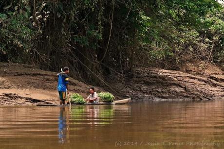 Fly River