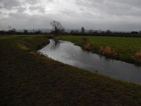 New Year’s Eve Walk