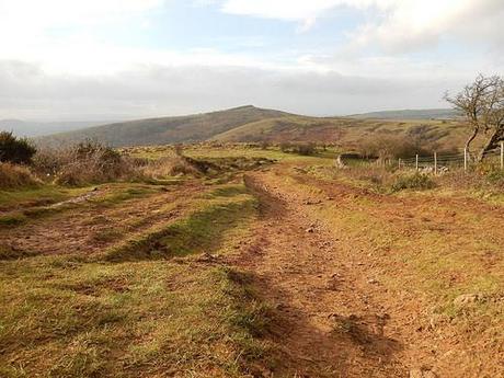 New Year’s Eve Walk