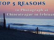 Reasons Photograph Chincoteague February