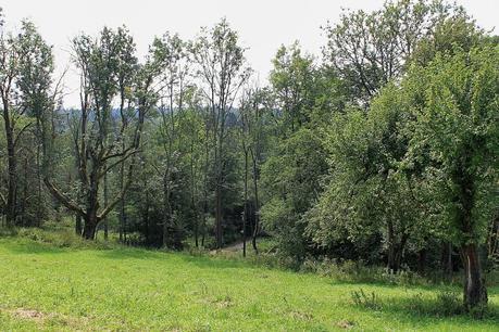 IMG_3342_Snapseed The Przemyskie Foothills and the Sanocko-Turczanskie Mountains