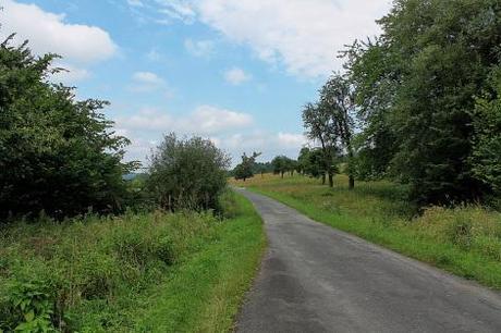 IMG_3336_Snapseed The Przemyskie Foothills and the Sanocko-Turczanskie Mountains