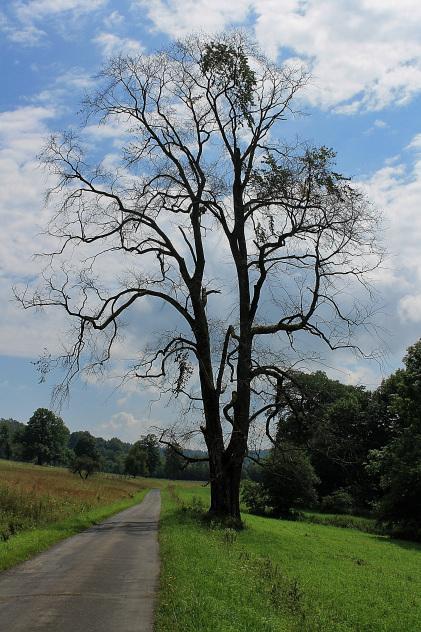 IMG_3340_Snapseed The Przemyskie Foothills and the Sanocko-Turczanskie Mountains