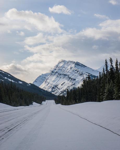  Bow Valley Parkway in Jasper