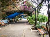 Postcard: Paseo Bovedas, Casco Viejo, Panama