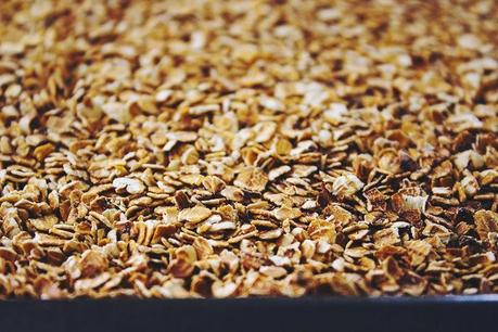 Toasted Oats with Apples + Blueberries///