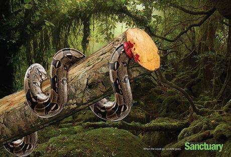 These Powerful Photographs Effectively Portray The Results Of Deforestation
