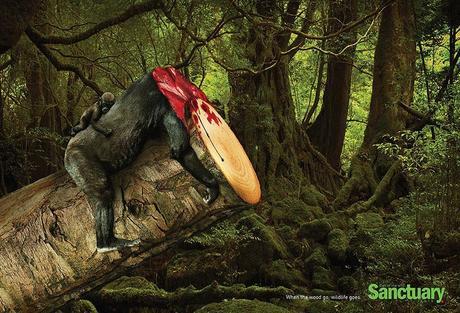These Powerful Photographs Effectively Portray The Results Of Deforestation