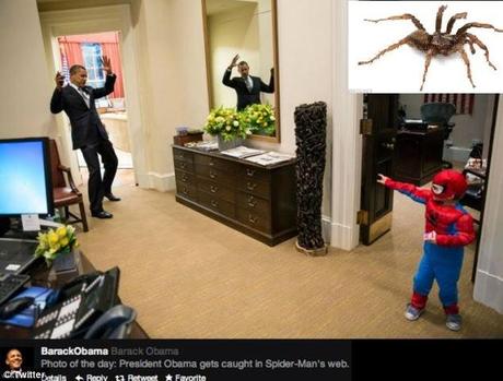Spider - spiderman and ......  ‘Aptostichus barackobamai’  - what >?