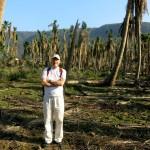 With Meinrad in the palm grove - the whole forest is destroyed by the cyclone