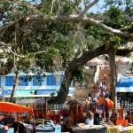 The huge banyan tree: now the whole place is covered by asphalt, and some new buildings around