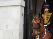 Discovering Household Cavalry Museum