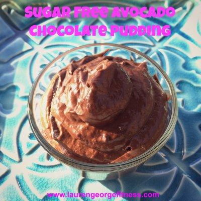 Sugar Free Avocado Chocolate Pudding