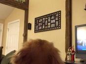 Taking Mischief Height