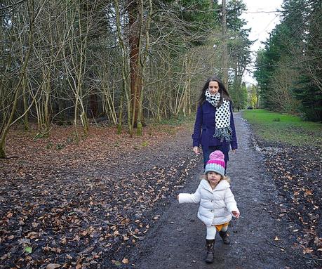 A Little Winter Walk