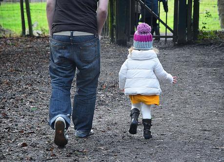 A Little Winter Walk