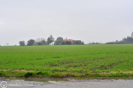 West Flemish Farmland