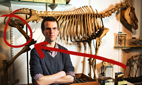 One Of Our Exits Is Missing!