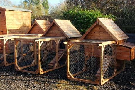 cock and pullet sliding top coop